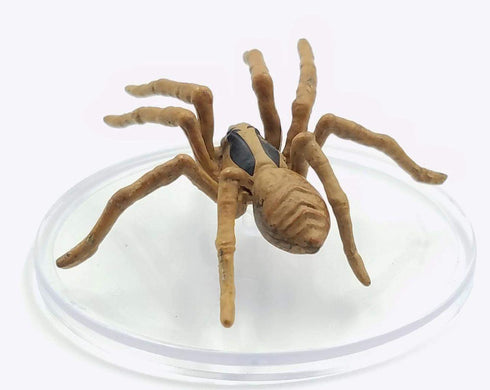 D&D Icons of the Realms Wild Shape & Polymorph Set 2 - 14 - Giant Wolf Spider